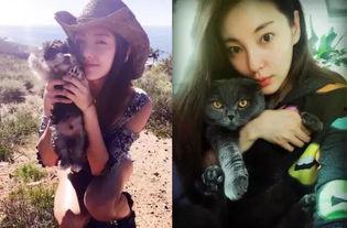 离婚后向小姐她光芒万丈,她光芒万丈，重拾人生新篇章