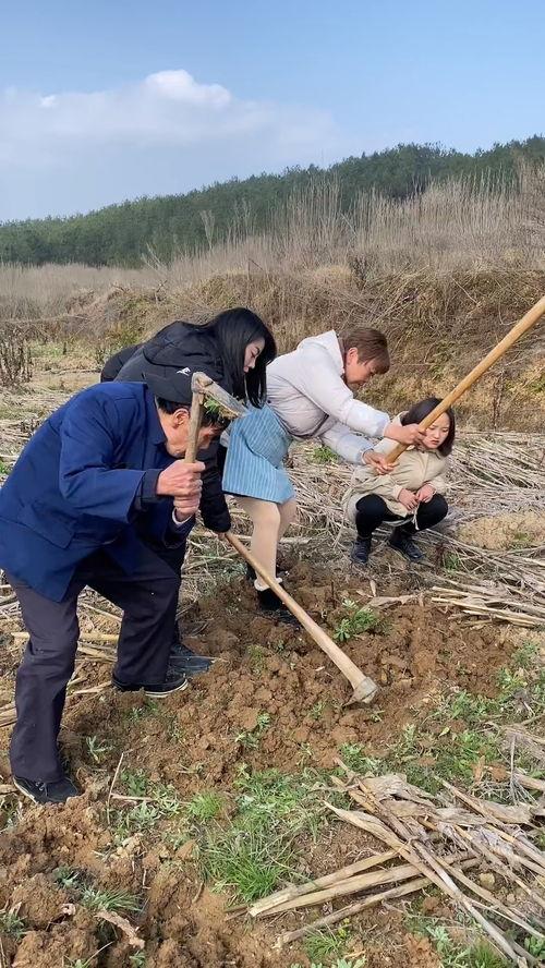我的家族必须我来振兴,我辈使命，振兴之路