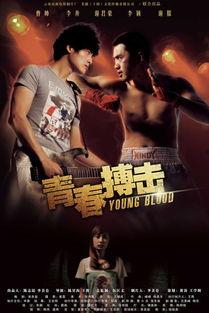 青春搏击,青春搏击的激情岁月